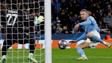 عدد أهداف هالاند في الدوري الإنجليزي