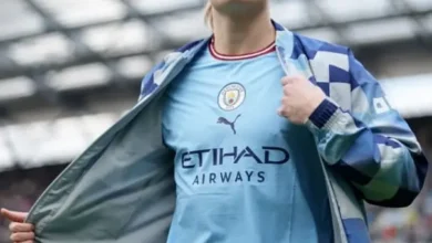 عدد أهداف هالاند في الدوري الإنجليزي