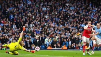 الإنجليزي عدد أهداف هالاند في دوري أبطال أوروبا