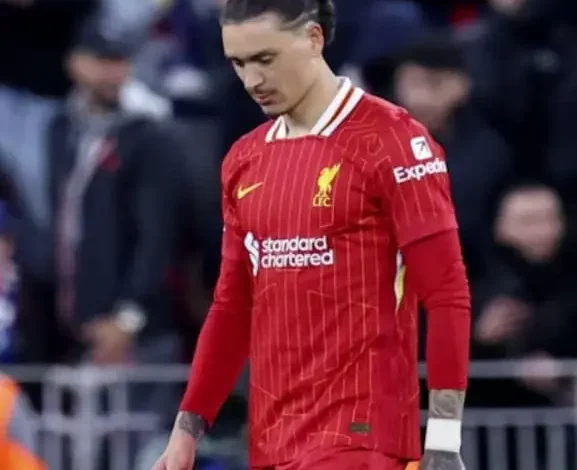دوري أبطال أوروبا -ليفربول