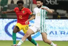 موعد مباراة الجزائر وبوتسوانا اليوم والقناة الناقلة لمباراة الجزائر وبوتسوانا