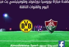 بوروسيا-دورتموند-وفلومينينسي-بث-مباشر.