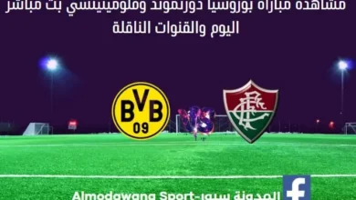 بوروسيا-دورتموند-وفلومينينسي-بث-مباشر.