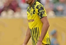 القناة الناقلة لمباراة بوروسيا دورتموند وروت فايس