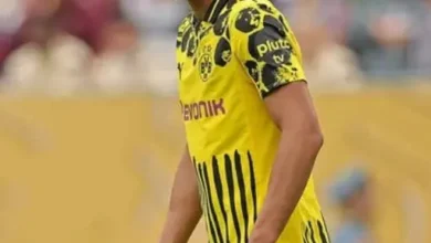 القناة الناقلة لمباراة بوروسيا دورتموند وروت فايس