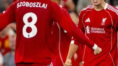 مباراة ليفربول وساوثهامبتون اليوم والقناة الناقلة لمباراة ليفربول وساوثهامبتون