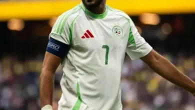 موعد مباراة الجزائر وغينيا اليوم والقنوات الناقلة لمباراة الجزائر وغينيا