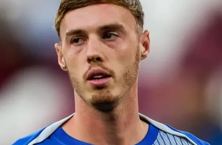 أين يمكنني مشاهدة تشيلسي وولفرهامبتون ؟ موعد مباراة تشيلسي وولفرهامبتون