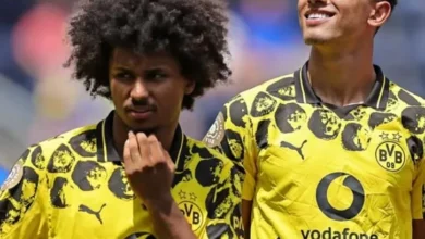 مباراة بوروسيا دورتموند وفياريال اليوم والقناة الناقلة لمباراة بوروسيا دورتموند وفياريا