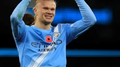 كم سجل هالاند في أبطال أوروبا؟ عدد أهداف هالاند في دوري أبطال أوروبا