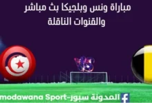 مشاهدة تونس وبلجيكا بث مباشر تونس وبلجيكا