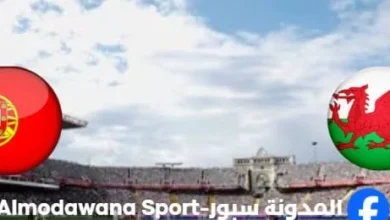 القنوات الناقلة لمباراة البرتغال وويلز